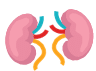 Kidney Disease