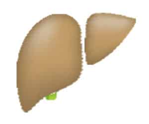 Liver Disease