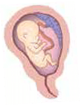 Pre-Eclampsia