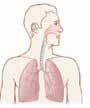 Upper Respiratory Infection