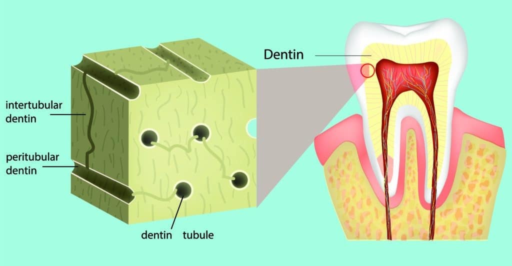 hormones lead to cavities