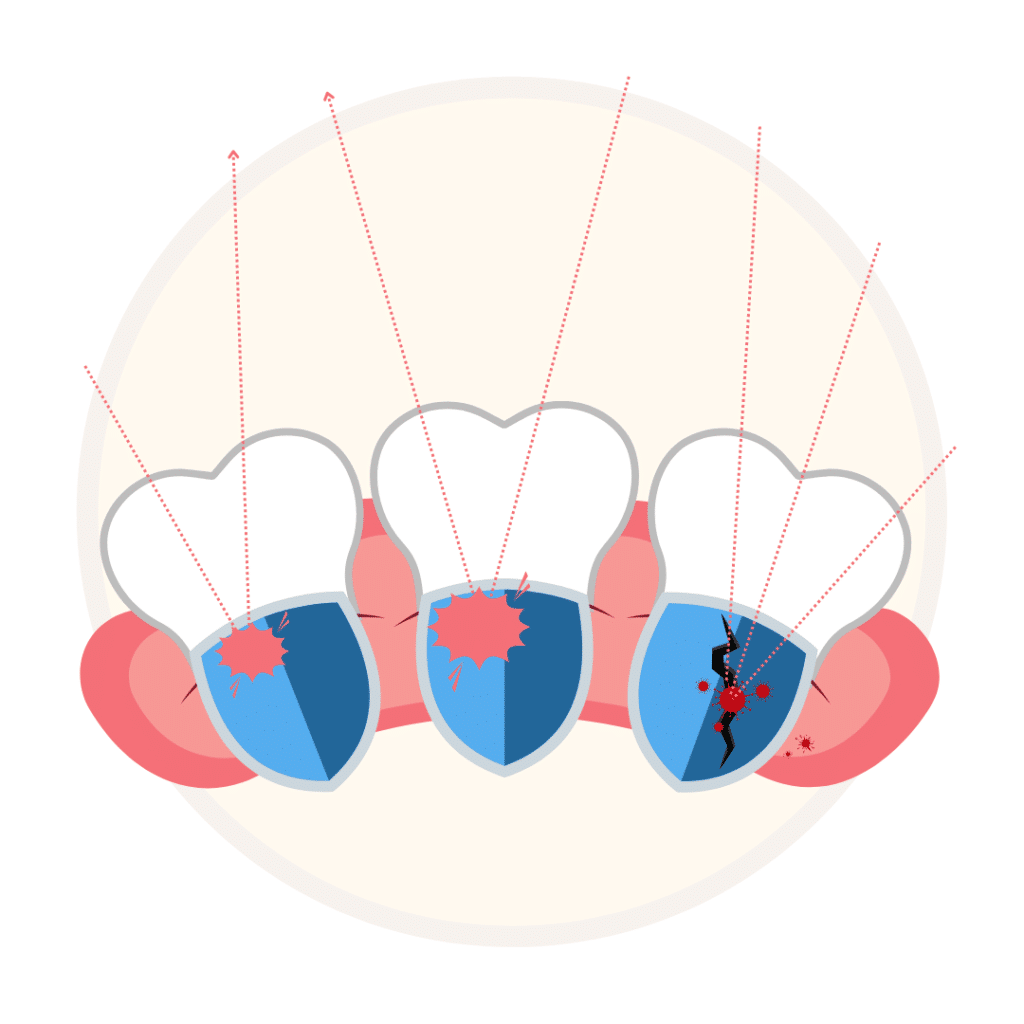 gums protect our health